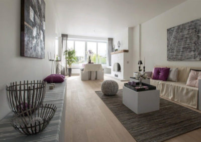 Boomsesteenweg (2016)