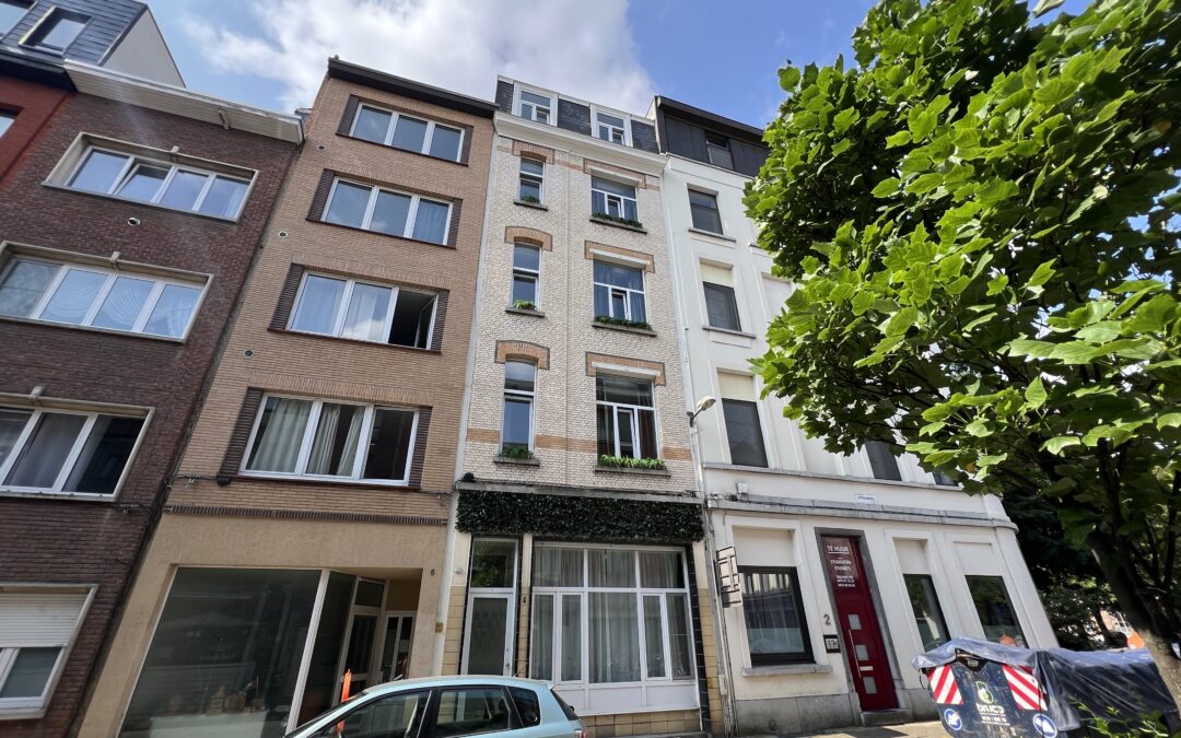 Steenbergstraat (2024)