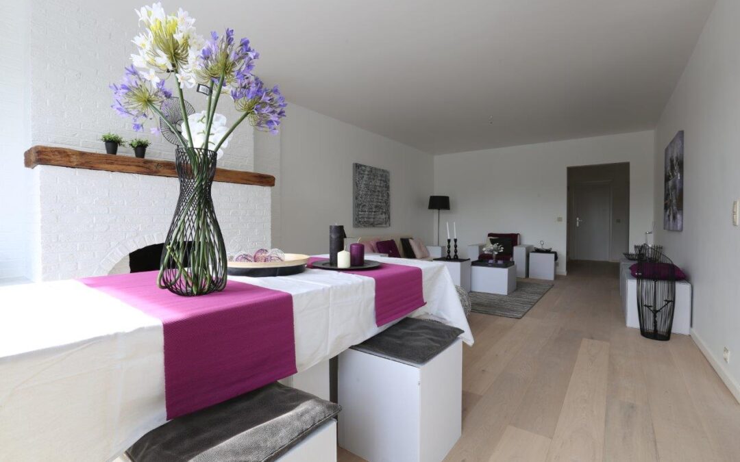 Boomsesteenweg (2016)