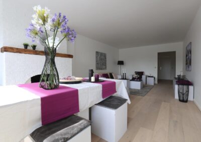 Boomsesteenweg (2016)